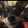 lilli_32